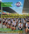 Thi công bạt mái xếp di động che sân trường