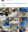 May Bạt Mái Hiên Kéo Di Động Tại Lâm Đồng Bảo Lộc